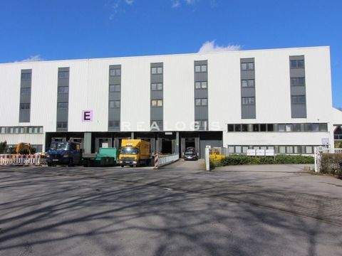 Gelsenkirchen Halle, Gelsenkirchen Hallenfläche