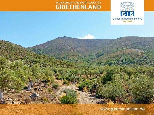 Natur pur im Rücken des Grundstücks