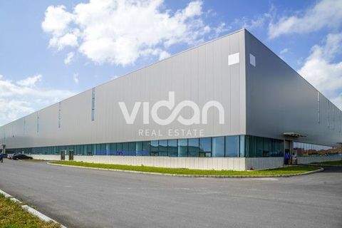 Schwelm Halle, Schwelm Hallenfläche