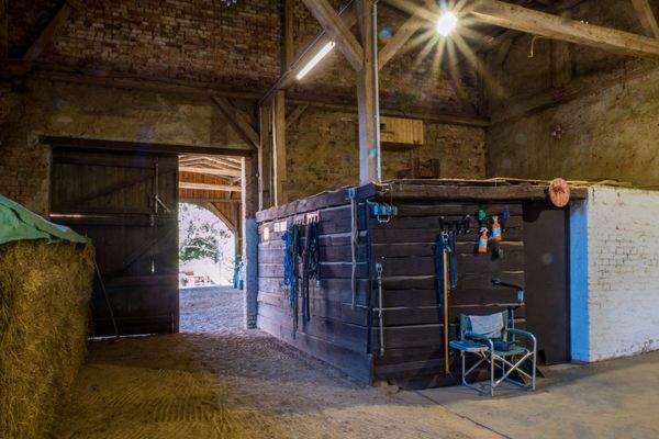 Pferdestall Innenansicht 8141.jpg