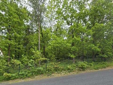 Ottendorf-Okrilla Grundstücke, Ottendorf-Okrilla Grundstück kaufen