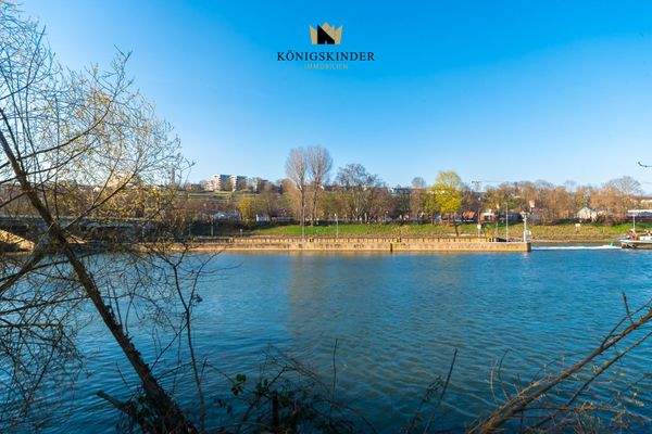 Ausblick auf den Neckar