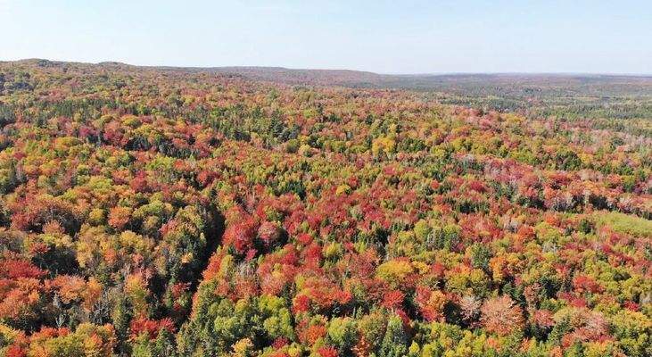 Nova Scotia - West Side Country Harbour - 52-Hekta