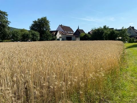 Ebermannstadt Grundstücke, Ebermannstadt Grundstück kaufen