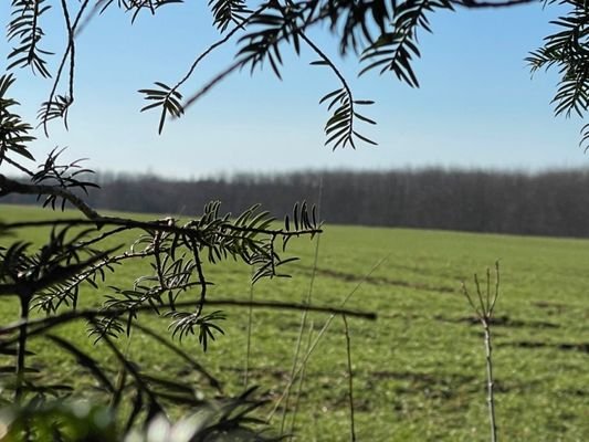 Blick in die Flur