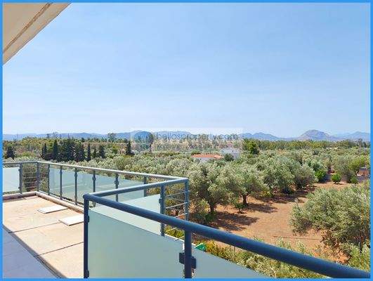 71131586bcfb41d18047a54c07415876-original