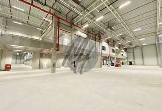 INFOS UNTER: 06171-586000