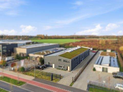 Neuss Halle, Neuss Hallenfläche