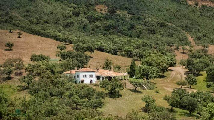 Jagdgebiet in Spanien, Immobilien-Kurz-Salzburg