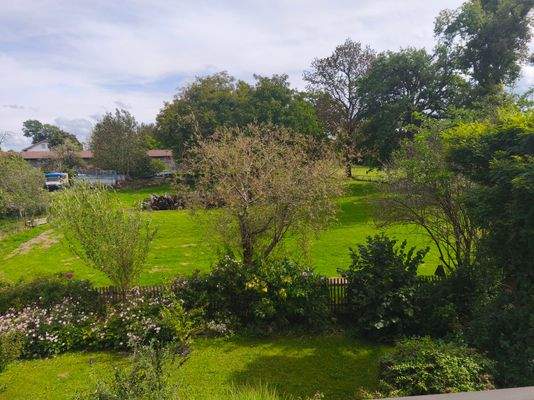 Blick auf Garten vom 1. Stock.jpg
