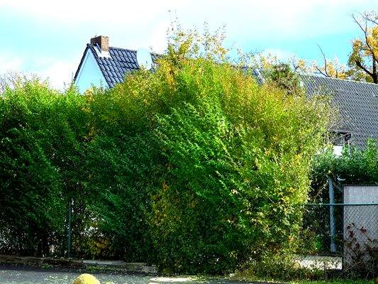 Ansicht von der Straße