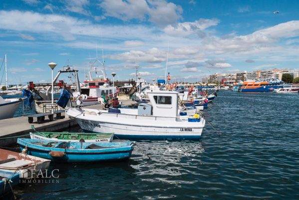 C9_Amara_Gran Alacant_Puerto pesquero