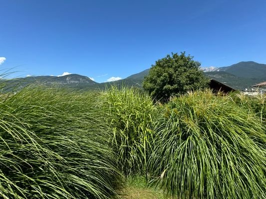 Ihr Ausblick vom Garten