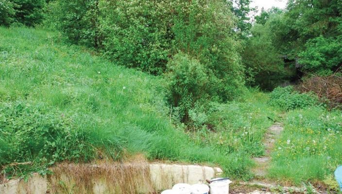 Ansicht 4