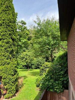 Blick in den Garten