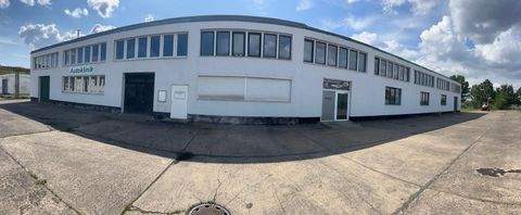 Neubrandenburg Halle, Neubrandenburg Hallenfläche