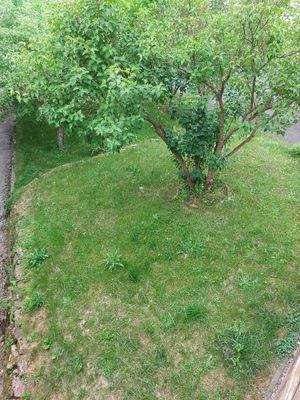 Teilansicht Gartenanteil