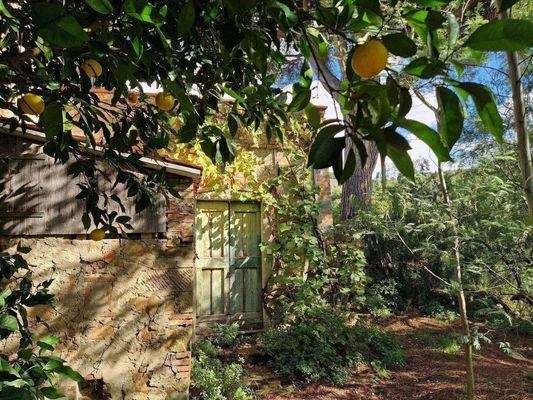 72LAzienda_ agricola_Toskana.jpg