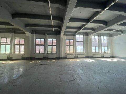 Berlin Halle, Berlin Hallenfläche