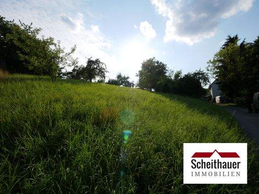 Sicht von der Straße