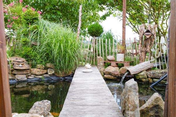 Teich mit Fischbestand