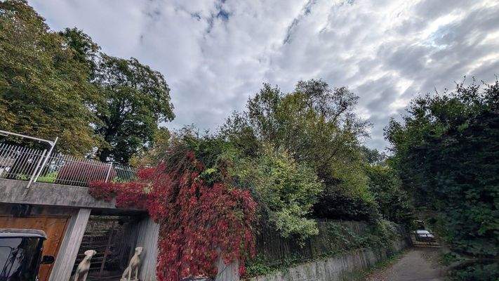 wenig einsehbar von der Straße