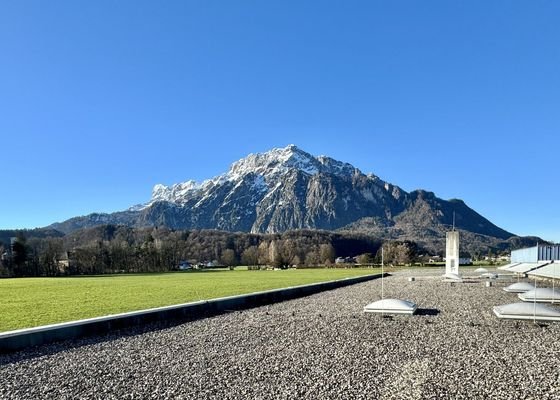 Ausblick