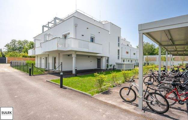 Bild 19
