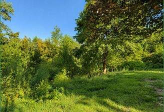 Garten und Waldstück