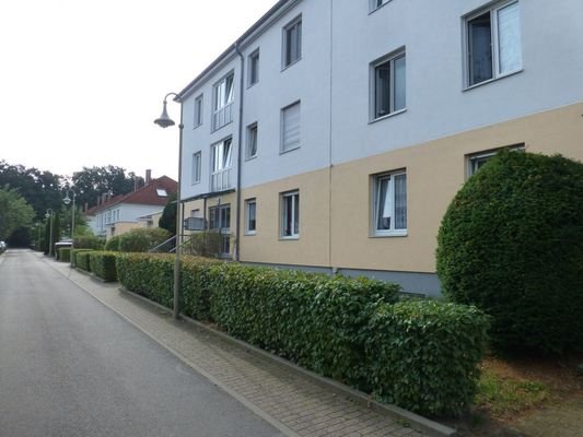 P110029117.07.2018 (FILEminimizer)a.JPG