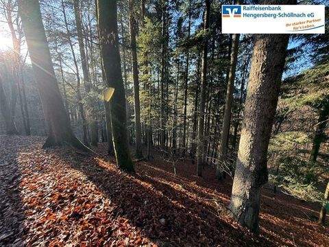 Iggensbach Bauernhöfe, Landwirtschaft, Iggensbach Forstwirtschaft