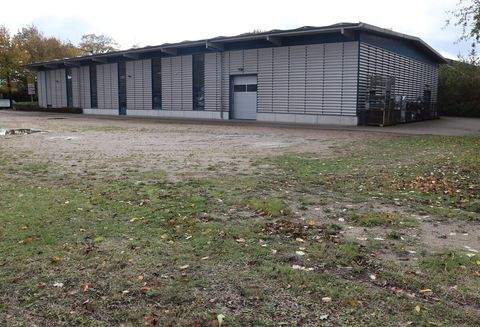 Kiel Halle, Kiel Hallenfläche