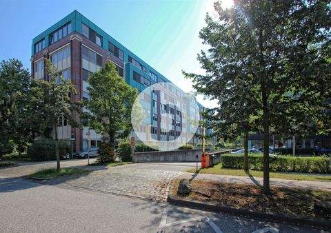 Hamburg Büros, Büroräume, Büroflächen 