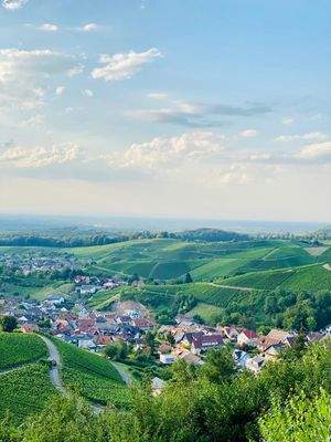 Aussicht ins Rheintal.jpeg