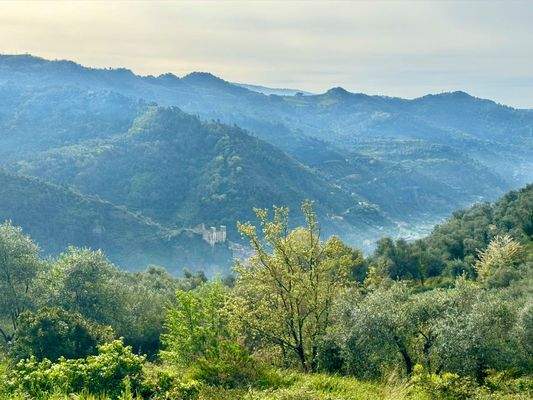 DA964_08 TERRA ITALIA IMMOBILIEN_LIGURIEN_DOLCEACQ