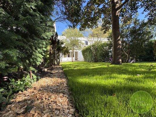 Frisch angelegter Garten 