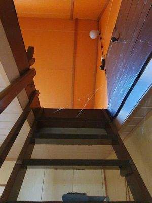 Treppe in Dachspitz.jpg