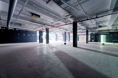 Nürnberg Halle, Nürnberg Hallenfläche