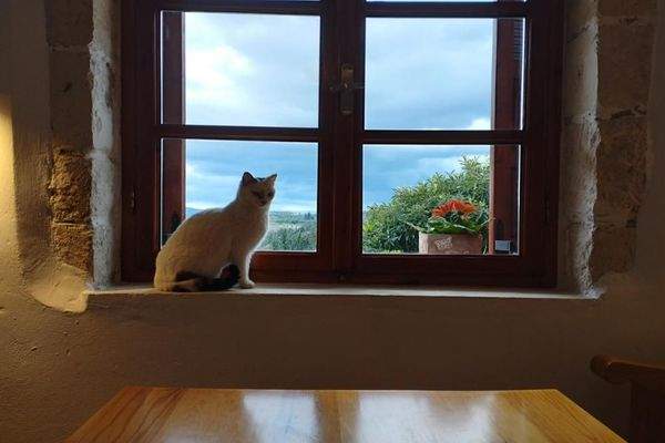 Kreta, Paidochori: Ländliches Steinhaus mit freier Aussicht zu verkaufen
