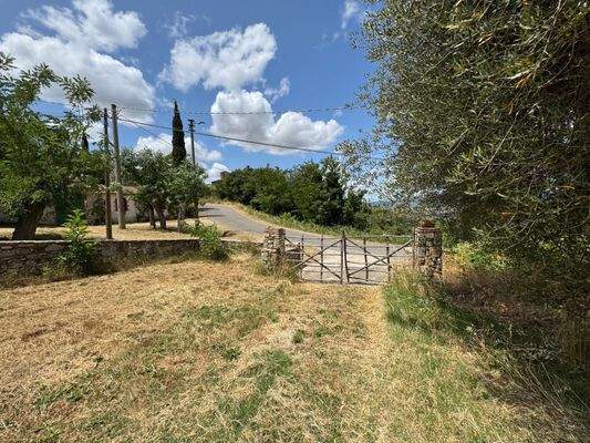 PHOTO-2025-08-14-15-51-35