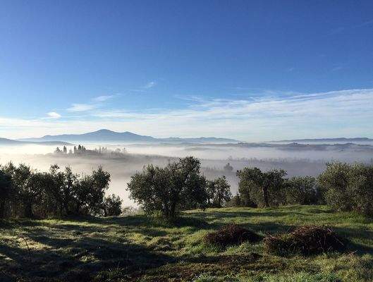 Monte Amiata an Neujahr