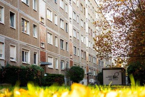 Dessau-Roßlau Wohnungen, Dessau-Roßlau Wohnung mieten