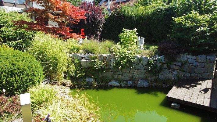 Gartenteich