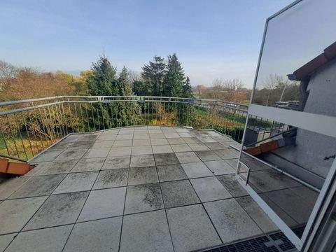 Nauheim Wohnungen, Nauheim Wohnung kaufen