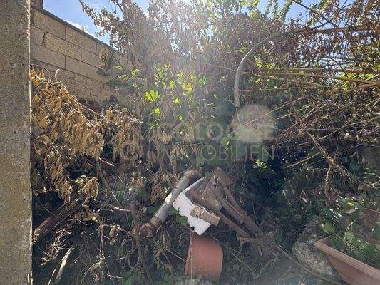 Ausschnitt des unbebauten Grundstücks