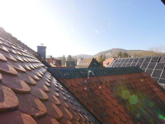  DACHÜBERBLICK von der Spitzbodenkammer aus