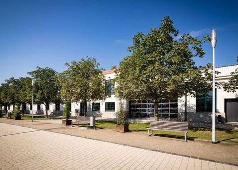 Dresden Büros, Büroräume, Büroflächen 