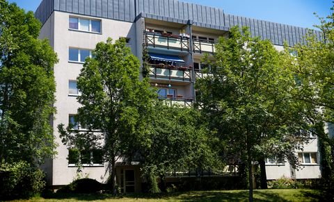 Neubrandenburg Wohnungen, Neubrandenburg Wohnung mieten