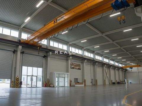 Villingen-Schwenningen Halle, Villingen-Schwenningen Hallenfläche