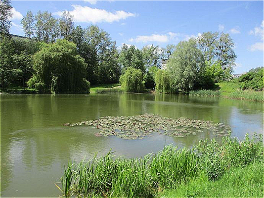 Parkanlage Ihlenpool